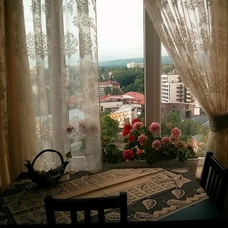 Sunny Apartment In The City Center Truskavec' Esterno foto
